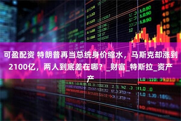 可盈配资 特朗普再当总统身价缩水，马斯克却涨到2100亿，两人到底差在哪？_财富_特斯拉_资产
