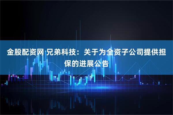 金股配资网 兄弟科技：关于为全资子公司提供担保的进展公告